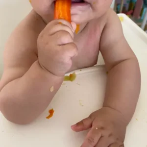 Taller Alimentación complementaria (6-12 meses) - En Directo